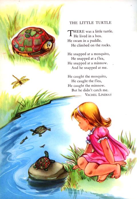 little turtle lindsey childcraft